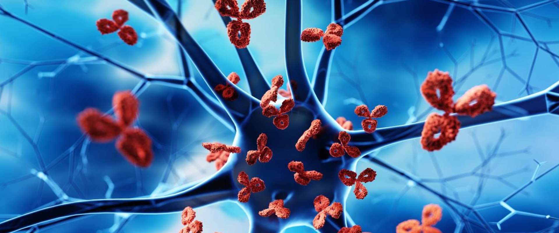Exploring Immune System Disorders