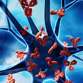 Exploring Immune System Disorders